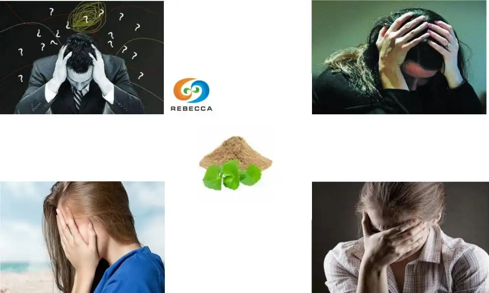Can Gotu Kola Powder Help with Anxiety?